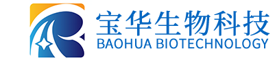 AK平台_AK网页版